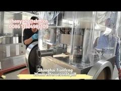 آلة ضغط أقراص فوارة على شكل مكعب دجاج ZP17B