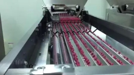 خط إنتاج تعبئة زجاجات الأدوية عالية السرعة 380 فولت مع ضمان لمدة سنة لزجاجات 60 مل 80 مل 100 مل